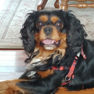 優しく育てていただけませんでしょうか。