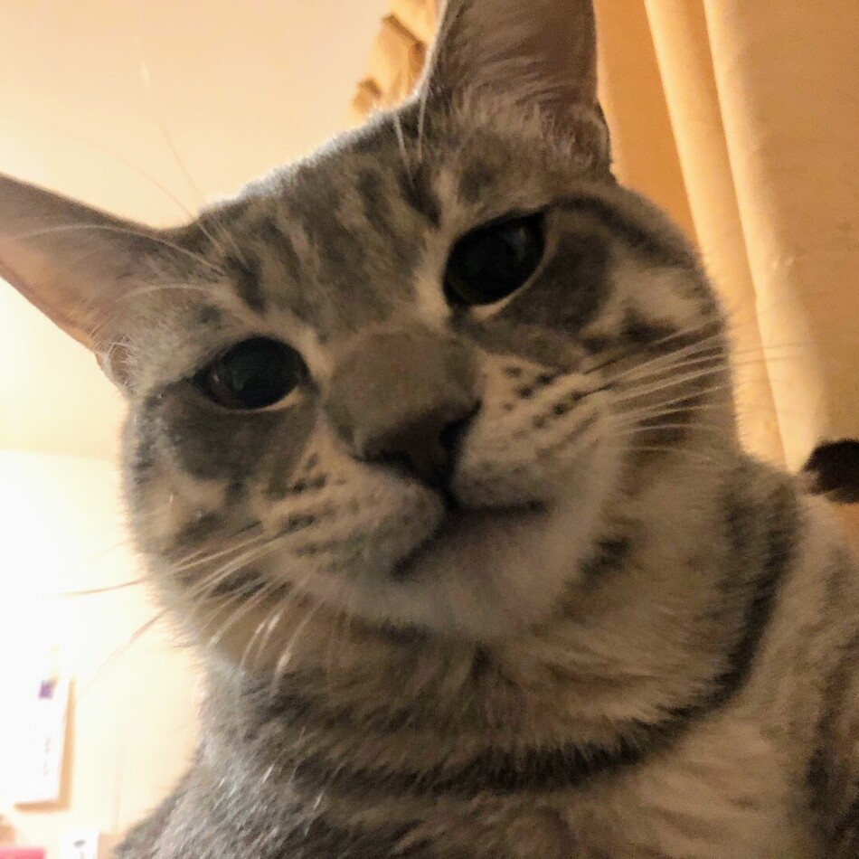 りむのカバー写真