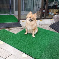 ここ