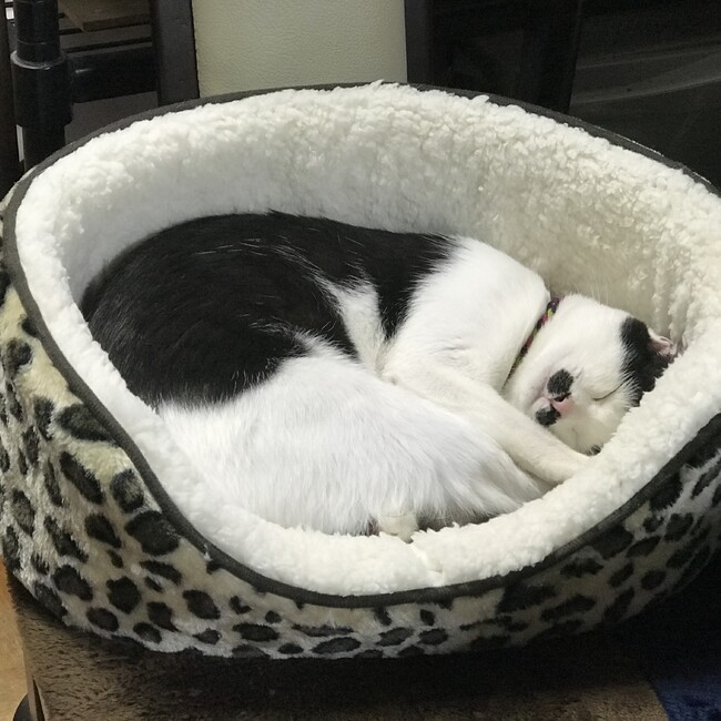 R0C0のカバー写真
