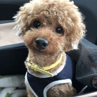 つつが）障害も個性！ボク元気だよ