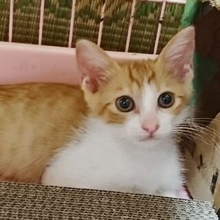 生後約2ヶ月半☆男の子