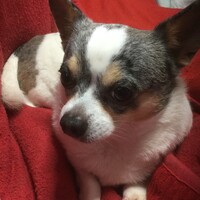 Mimi