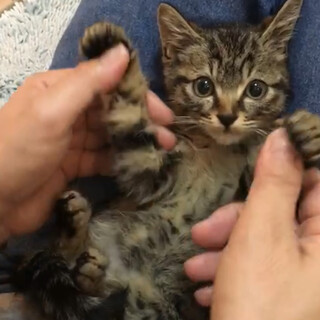 動画で確認を♡千代ちゃん♡れいちゃん♡