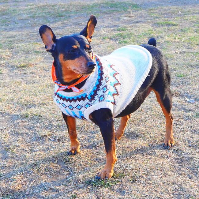 まぁ汰。のカバー写真
