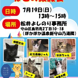 保護猫の譲渡会in守山