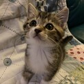 元気いっぱい☆クリクリおめめのクチナちゃん