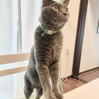 てと