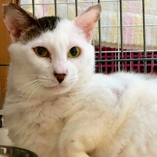 【のなか】募集を終了しました