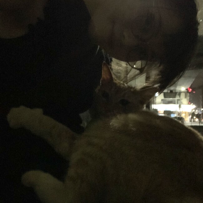 つしはるのカバー写真