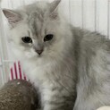 ありがとうございました( ᵕᴗᵕ )