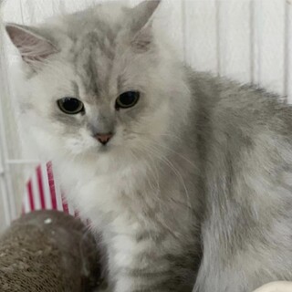 ありがとうございました( ᵕᴗᵕ )