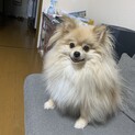 里親さんを探してます！