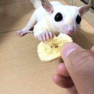 食いしん坊な男の子です！！