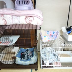 「我が家のケージ事情」サムネイル2