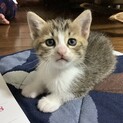 ありがとうございました