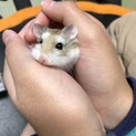 里親さん決まりました！
