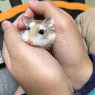 里親さん決まりました！