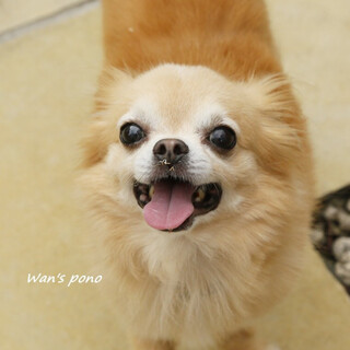 良いご縁に繋がりました。