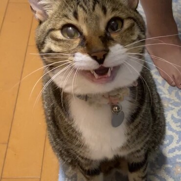 そぼろの写真