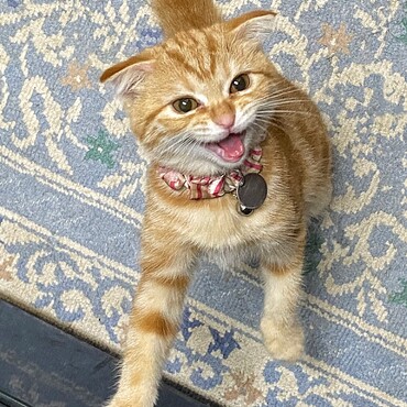の写真