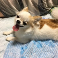 パーティー