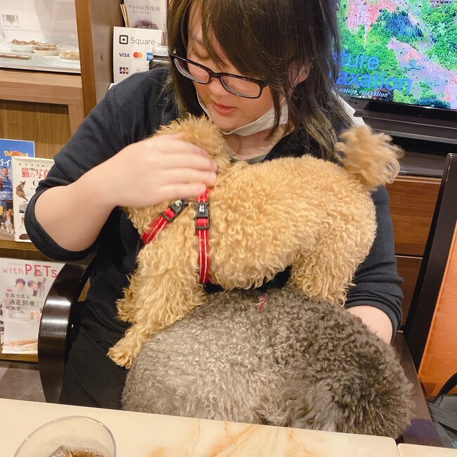 アキラ01のカバー写真