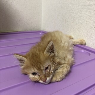 ありがとうございました★可愛い笑門ちゃん