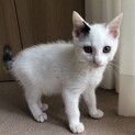 元気いっぱい！マメくん
