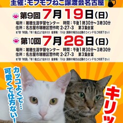 猫の譲渡会　in　名古屋市瑞穂区生涯学習センター