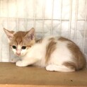 雫ちゃん❣️トライアルが決まりました