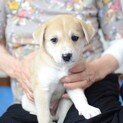ぼくと遊んで！いっぱい遊んで！"としくん"