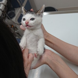 ぱっつん坊や❤️2ヶ月 甘えん坊