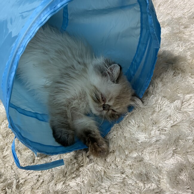 na_chin0117のカバー写真