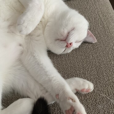 マルの写真