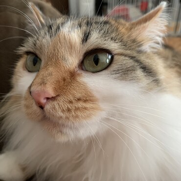 の写真