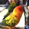 ☆れんれん☆