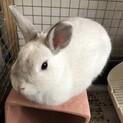 再投稿！大人しくて可愛い子です。