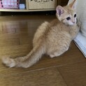 女の子に間違えられた僕 男子です