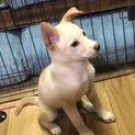 イリヤちゃん