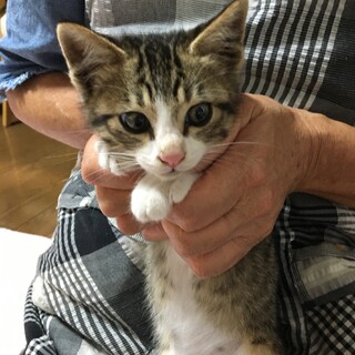 リキくん、トライアルに入ります
