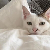 そろもん