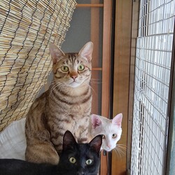 お外よく見える