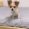 の写真