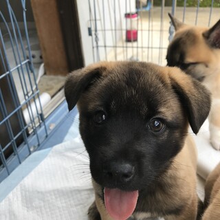 2ヶ月かわい盛りです！