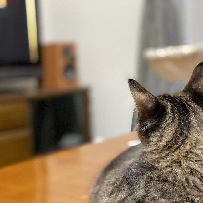 えるとあーるのカバー写真