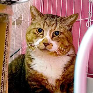 愛嬌抜群♥大きい幸山さん（兄）