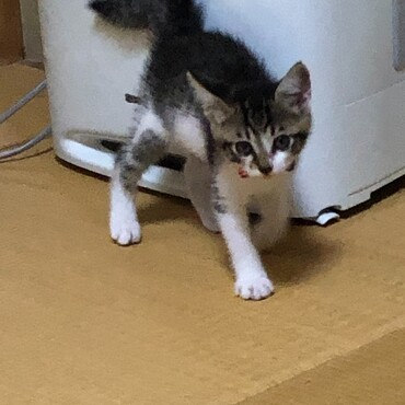 お迎えして二日目