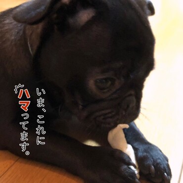 の写真