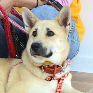 まだ若い☆推定一歳過ぎの愛くるしい“あかねちゃん”